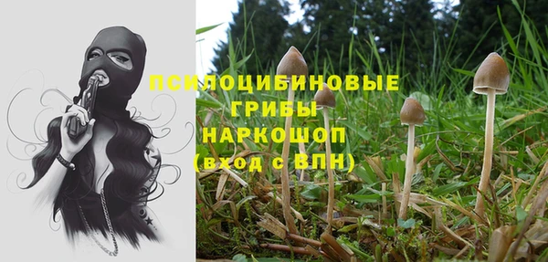 apvp Абаза