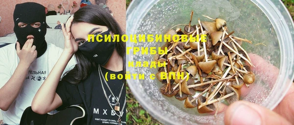 гидра Тында