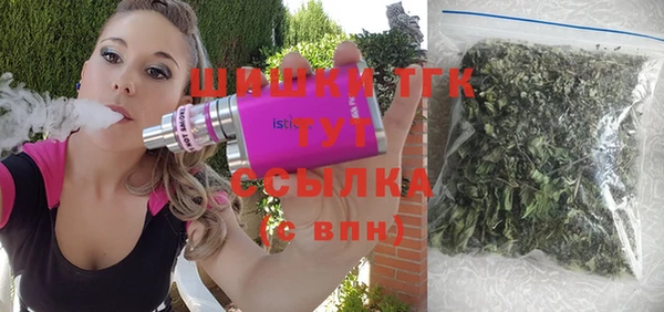 хмурый Туринск