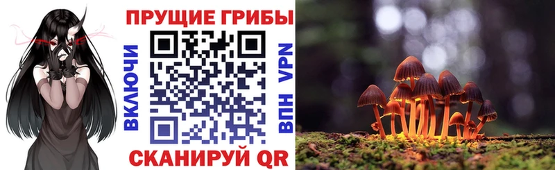 сайты даркнета состав  mega зеркало  Оренбург  где продают наркотики  Галлюциногенные грибы Psilocybine cubensis 