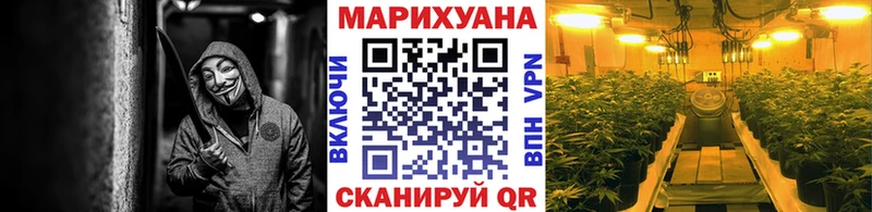Каннабис OG Kush  KRAKEN   Оренбург 